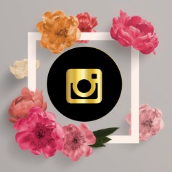 Gestion compte Instagram Pro
